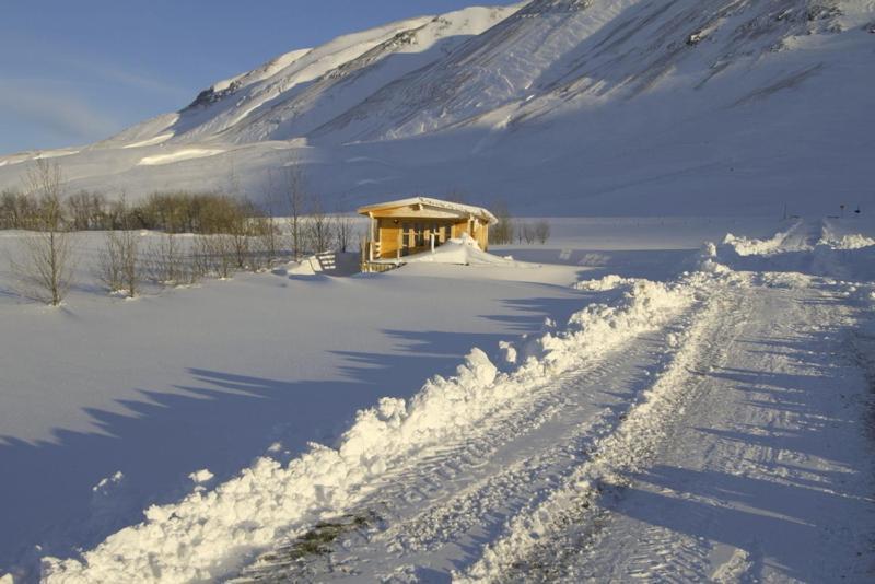 Artun Guesthouse Værelse billede